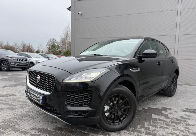 jaguar