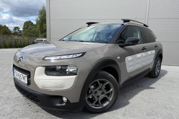Bezwypadek C4 Cactus
