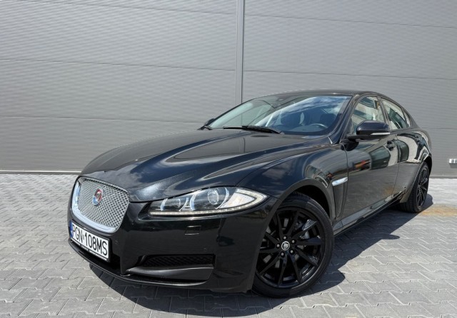 jaguar