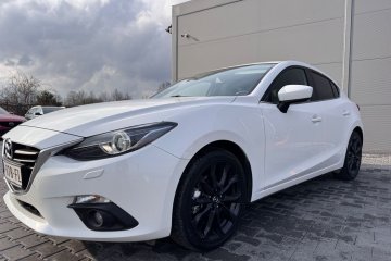 bezwypadek*org lakier*biała perła*SPORT LINE