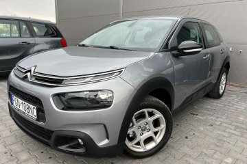 bezwypade 1wlascicielshine LIFT C4 Cactus