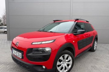bezwypadkowe C4 Cactus